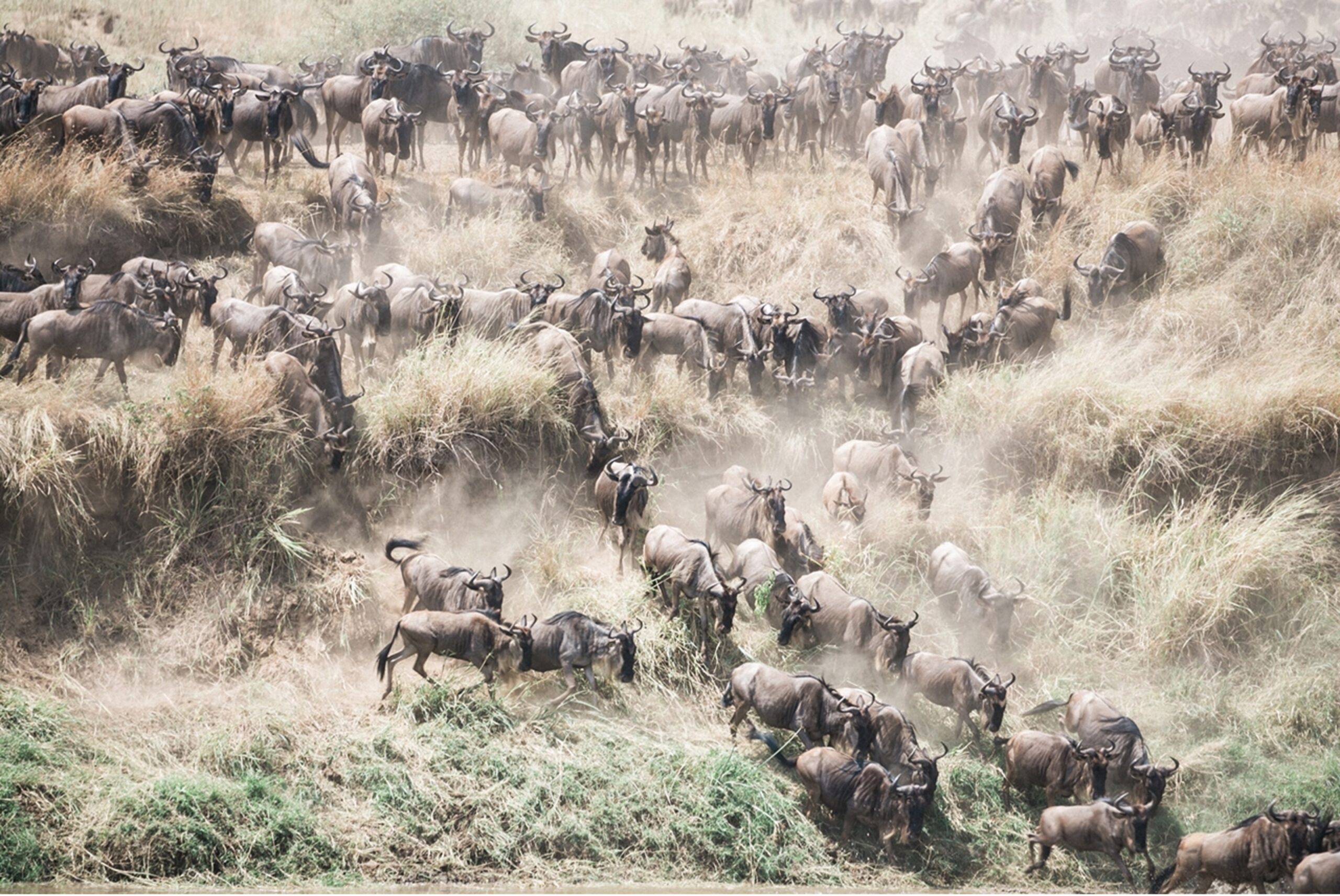 Api Mara Wild Senses Holidays